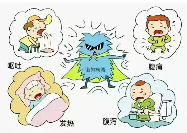 疾病防控|保定理工學(xué)院|管理學(xué)院|諾如病毒進(jìn)入高發(fā)期，這份防護(hù)指南請收好！